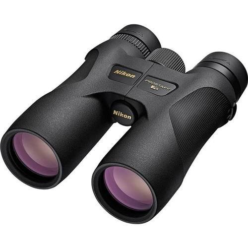 best budget binoculars