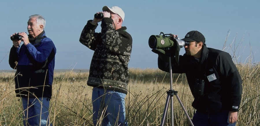 Bird Watching For Beginners 11 Tips To Get Started OpticsMag