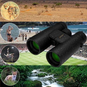 a pair of binoculars