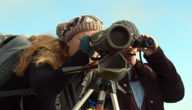 Spotting Scope vs Binoculars: Which To Choose?