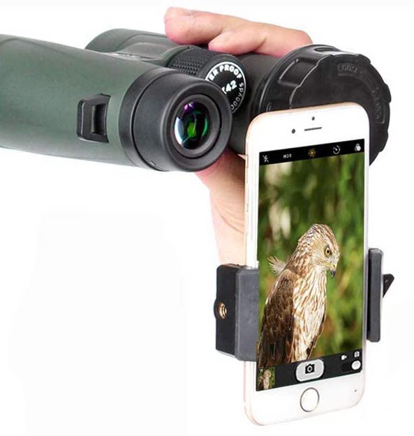 Bird Watching For Beginners 11 Tips to Get Started Optics Mag