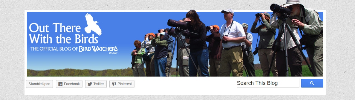 Out There with the Birds