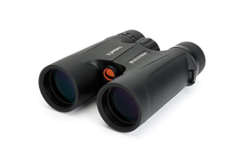 10x42 binoculars reviews