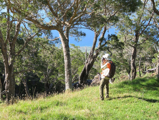 How To Choose A Pair Of Binoculars You ll Love OpticsMag