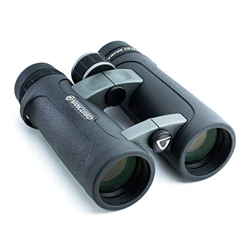 6 Best Binoculars for Yellowstone (April 2024) Top Picks & Reviews