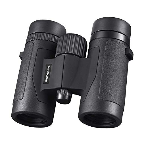 6 Best Binoculars for Yellowstone (April 2024) Top Picks & Reviews Optics Mag