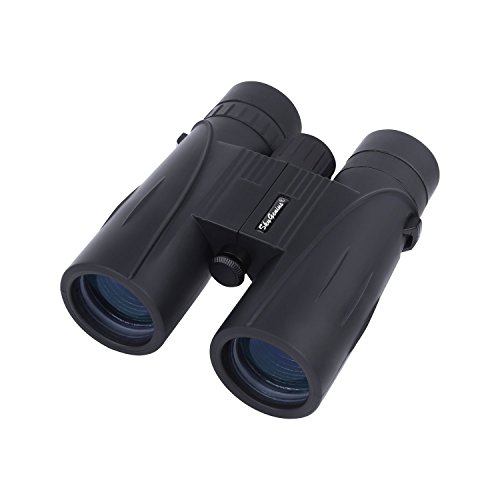 8x42 binoculars reviews