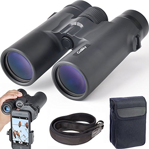 6 Best Binoculars for Yellowstone (April 2024) Top Picks & Reviews Optics Mag