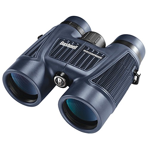 6 Best Binoculars for Yellowstone (December 2023) Top Picks & Reviews