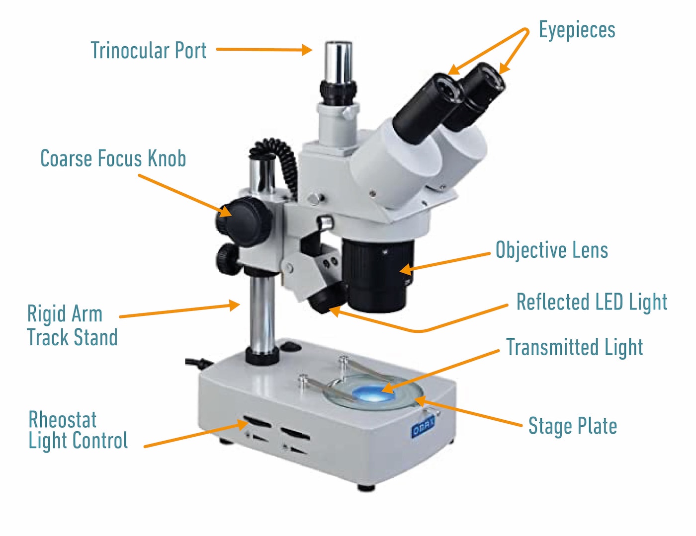 Stereo Compound Microscopes: What's The Difference? Optics, 59% OFF