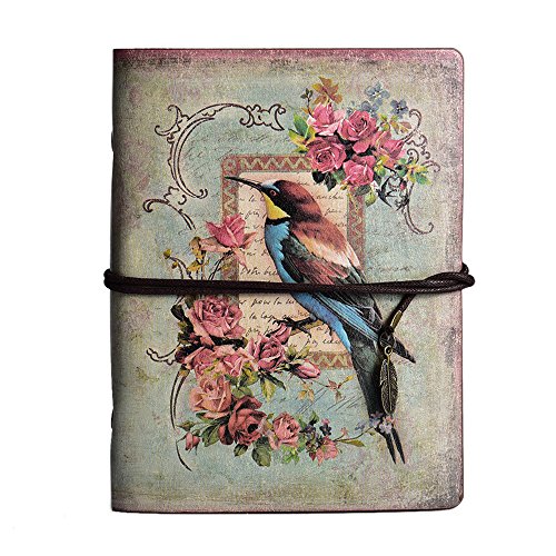 Multicolor Birdwatcher Bird Nerd Enthusiast Lover Gifts Flower Kisser Hummingbird Birdwatcher Bird Watcher Throw Pillow 18x18 