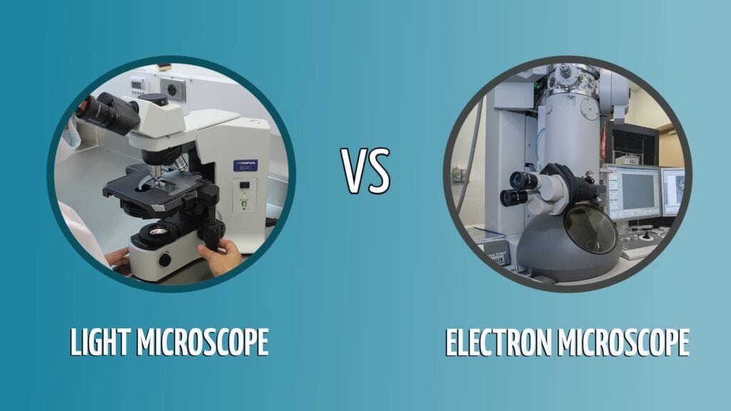 LIGHT MICROSCOPE VS ELECTRON MICROSCOPE