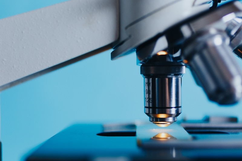 How to Choose a Microscope You'll Love (Helpful Tips) - Optics Mag