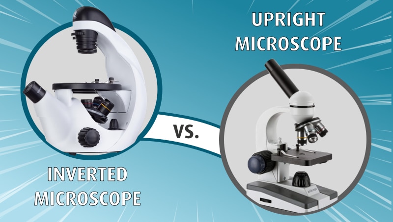 Inverted vs Upright Microscope