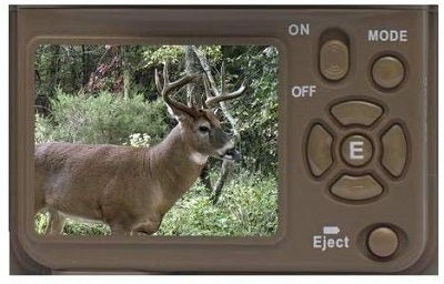 a Browning Game Camera