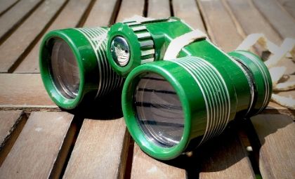Green Binoculars