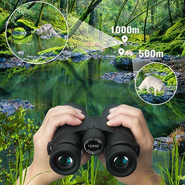 A pair of binoculars