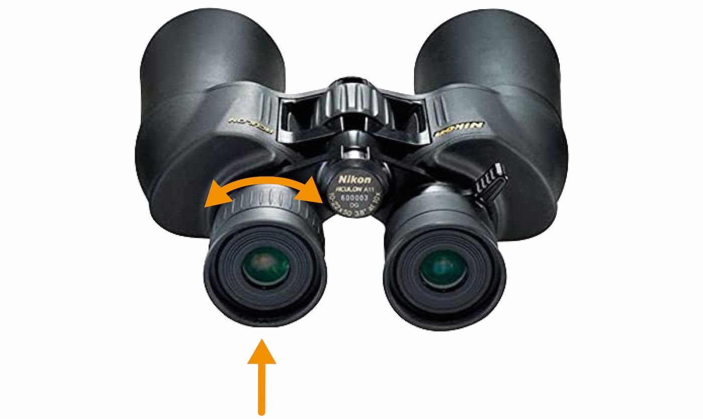 How Do Binoculars Work? Explained (with Pictures) Optics Mag