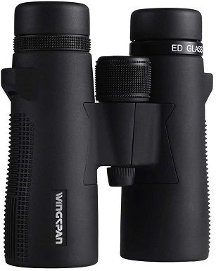 8Wingspan Optics