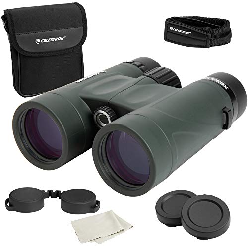 Best Binoculars For Birding & Bird Watching (For ANY Budget)