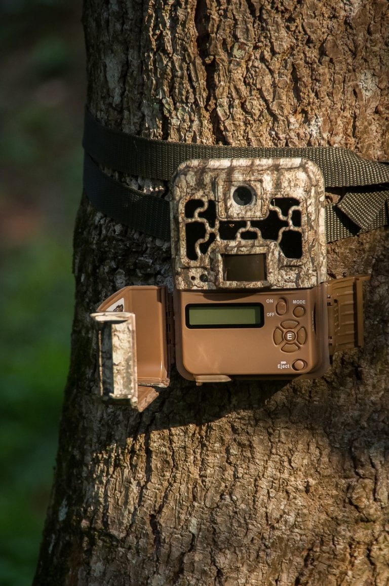 How to Use a Trail Camera for Security (7 Helpful Tips) Optics Mag