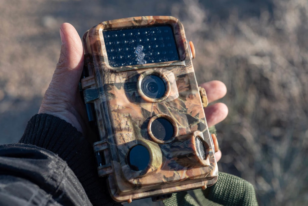 How Do Cellular Trail Cameras Work? Optics Mag