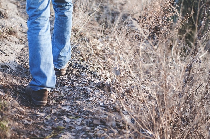 hiking-foot-pixabay