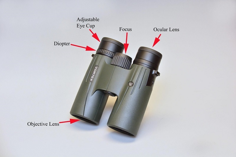 Parts of the binoculars