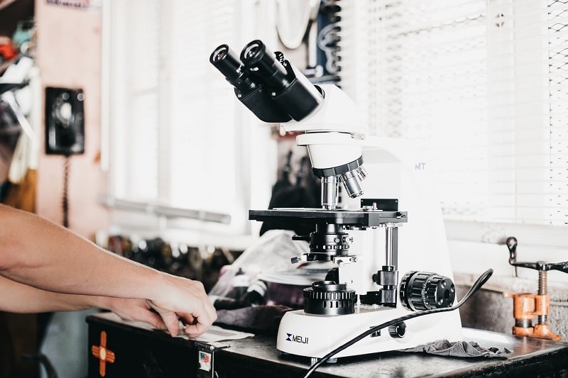 When Was the Microscope Invented and by Who? A History Optics Mag