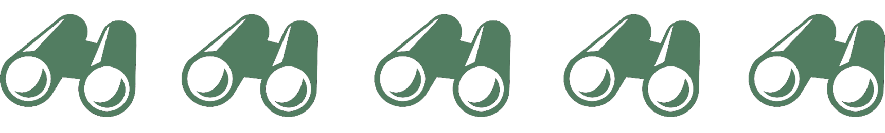 binoculars 3 divider