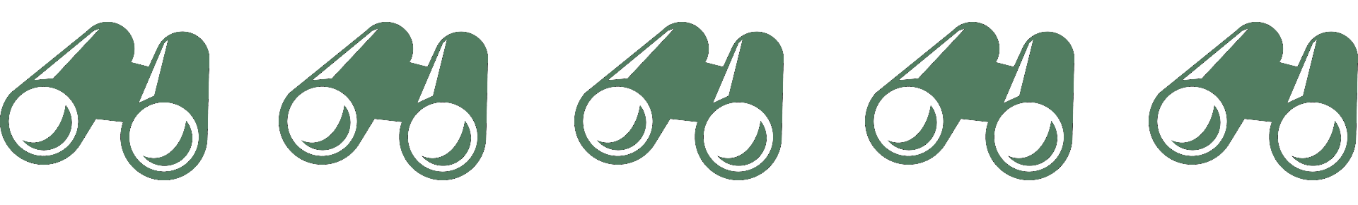 binoculars 3 divider