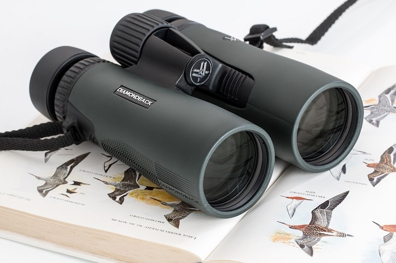 How to Focus Binoculars Beginner’s Guide (Calibrate Using the Diopter