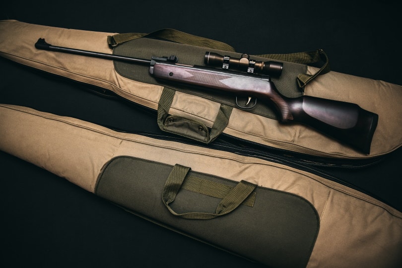 Rifle set