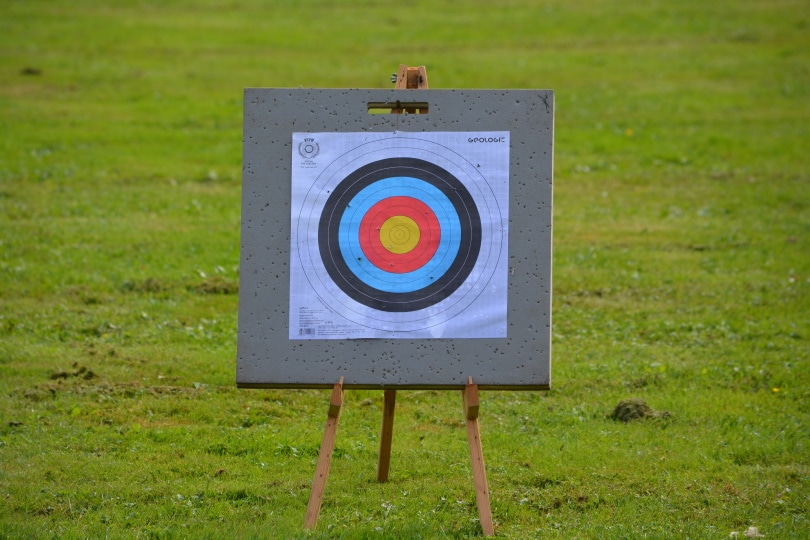 target_Ben Kerckx_Pixabay