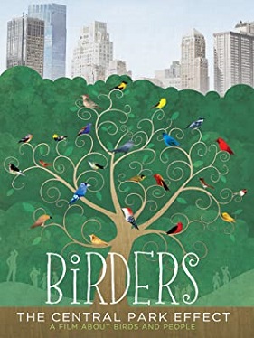 Birders - The Central Park Effect