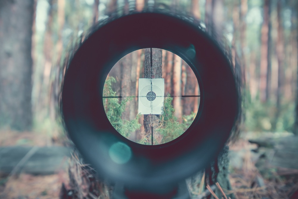 Sniper gun scope view, target
