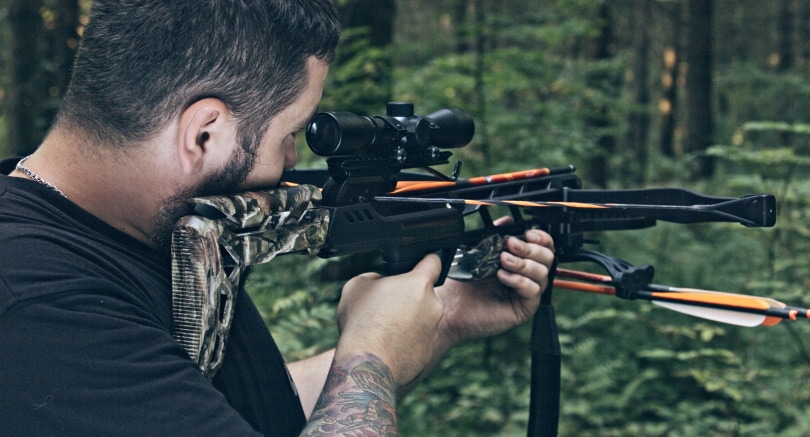 crossbow shooting_Sergey Shubin_Shutterstock