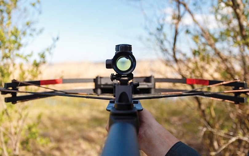 crossbow sight_Crossbowproductions _Wikimedia