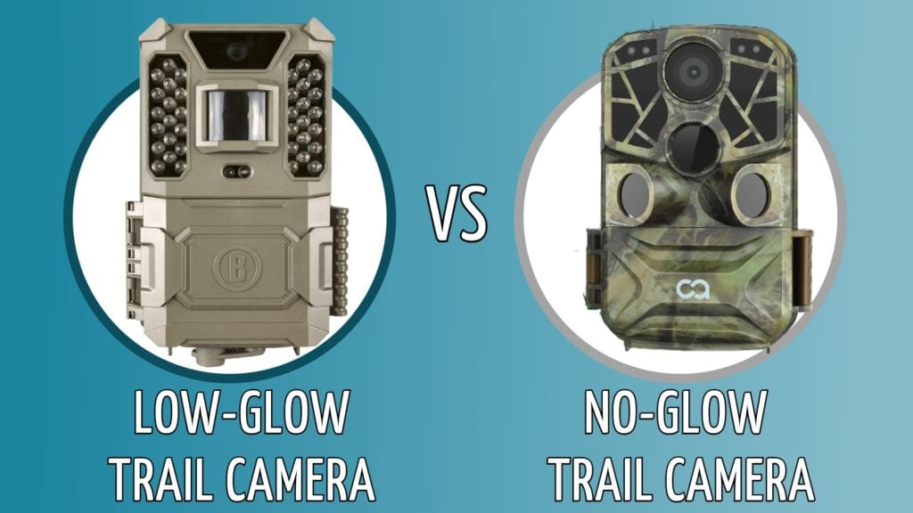 LowGlow vs NoGlow Trail Cameras Which to Choose? Optics Mag