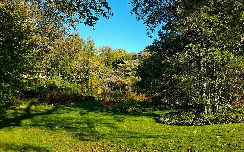 peaceful yard_Ballinacurra Weston_Wikimedia