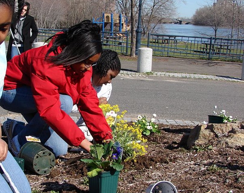planting flowers_Mielon_Wikimedia