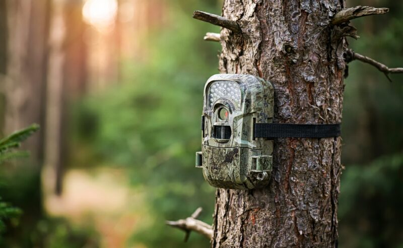 trail camera