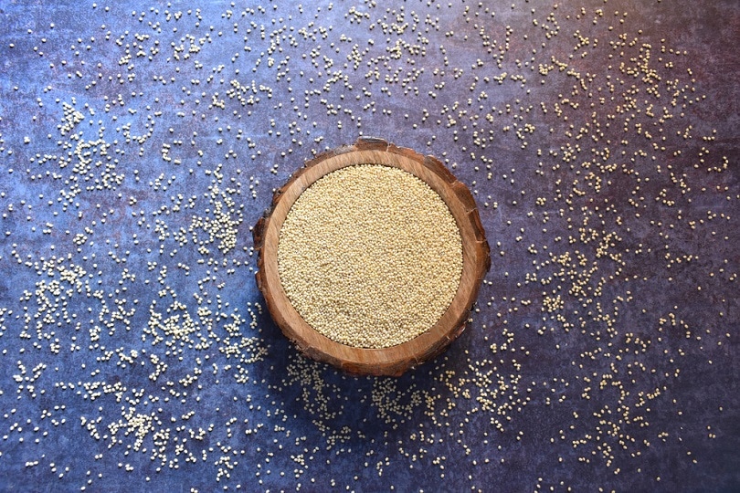 Whole dry Proso millet cereal grains