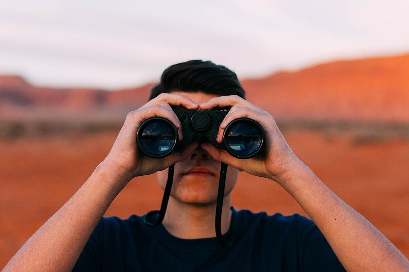 binoculars-pixabay
