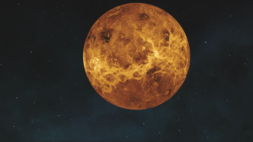 Venus_Bruno Albino_Pixabay