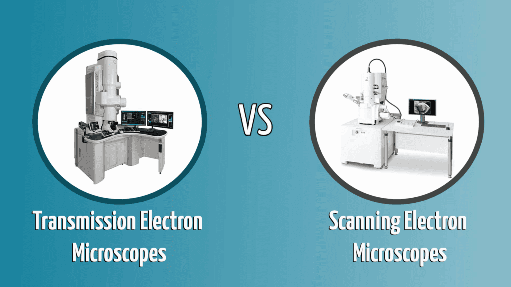 Transmission Electron Microscope VS Scanning Electron Microscope