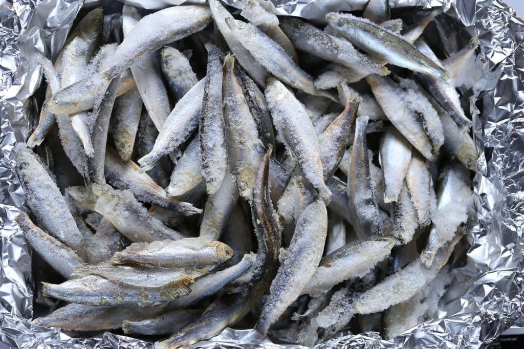 Frozen fish