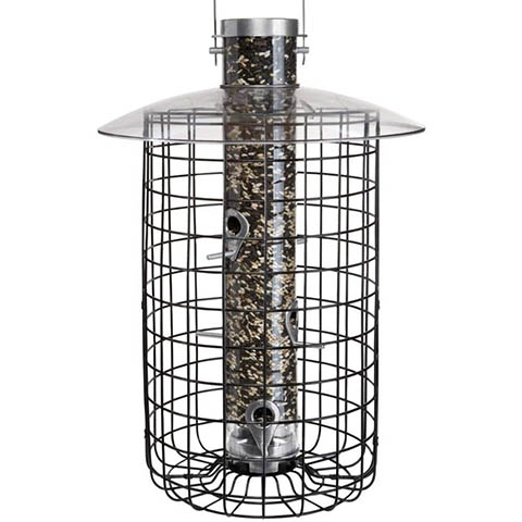 Droll Yankees Domed Cage Sunflower Seed Bird Feeder