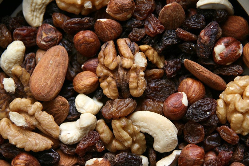 Nut