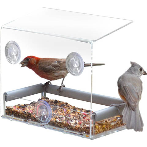 PetFusion Tranquility Window Bird Feeder